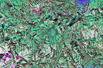 N 106A